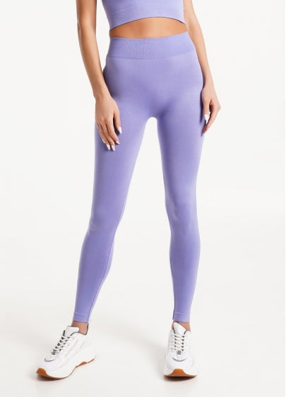 Seamless High Waist Leggings in Violet