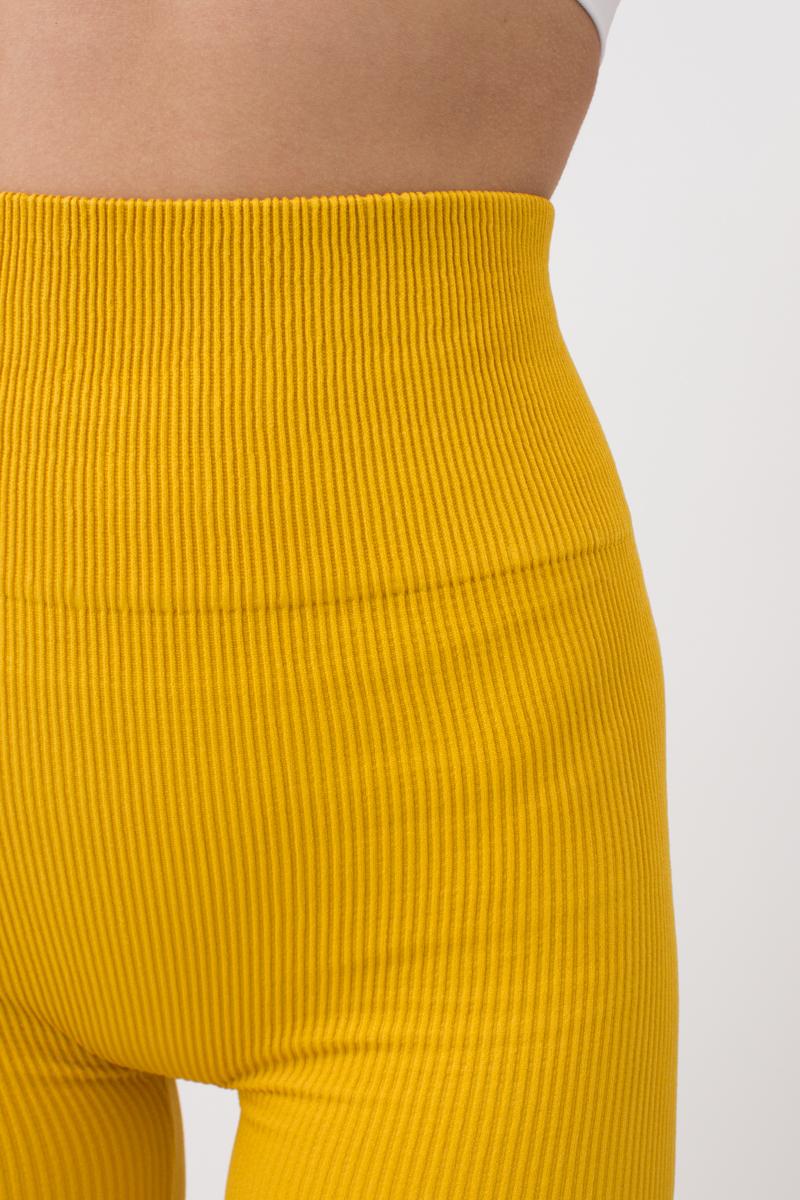 Seamless Ribbed Scrunch Leggings in Honey