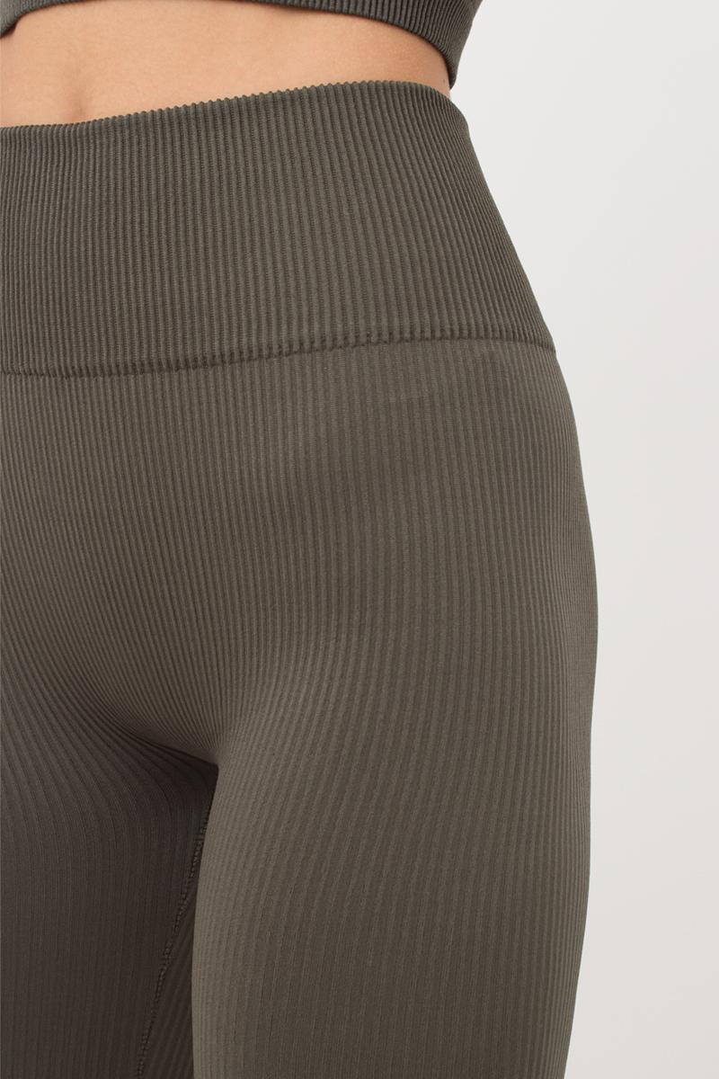 Seamless Ribbed Scrunch Leggings in Khaki